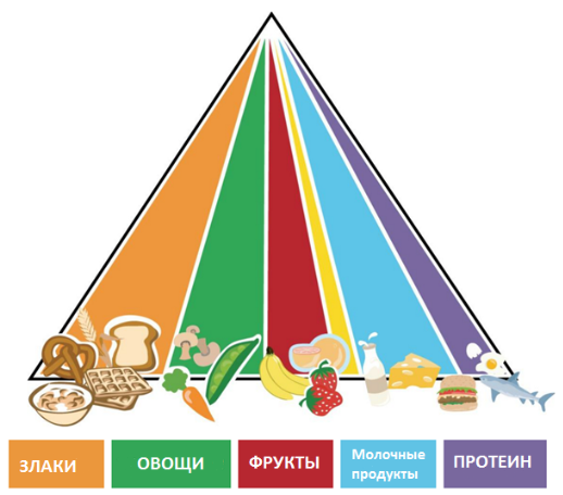 Food Pyramid RU