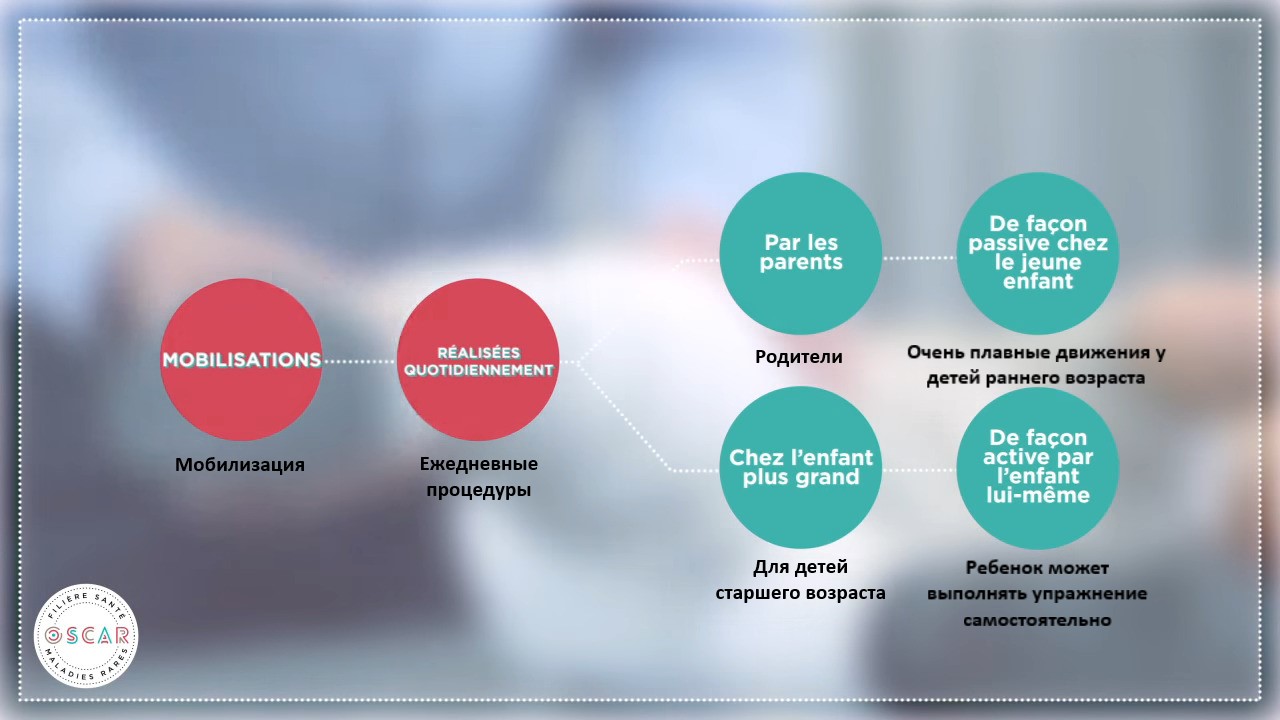 OSCAR video translated terms 2