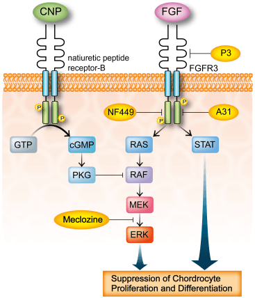journal-pone-0081569-g006