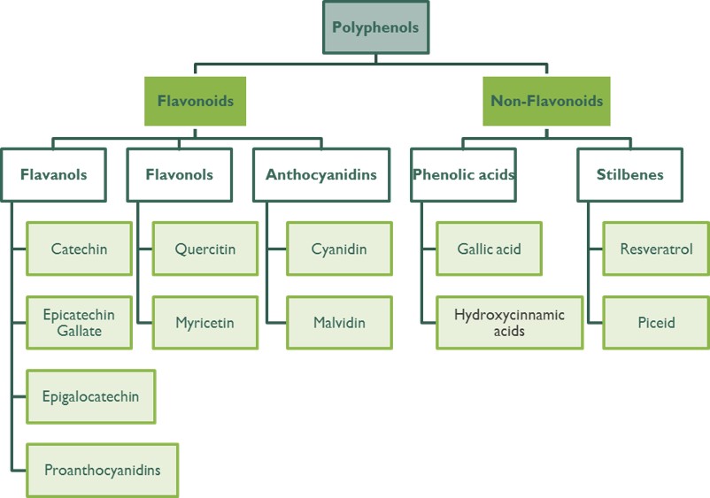 polyphenol-classification--element69