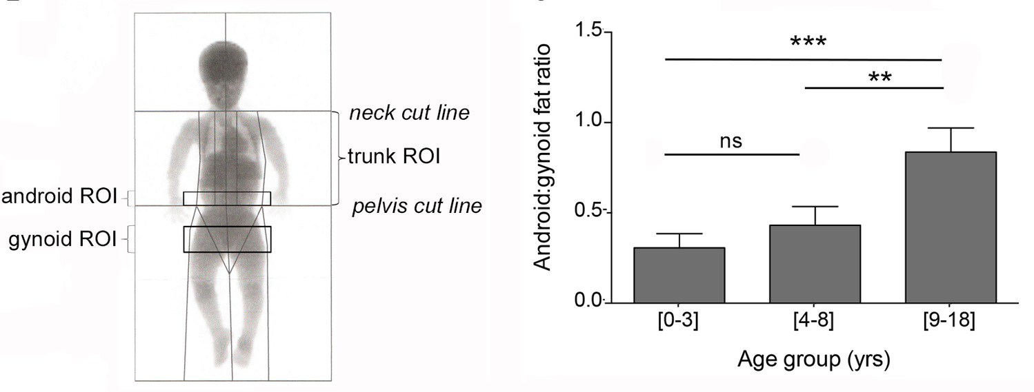 journal.pone .0195876.g001